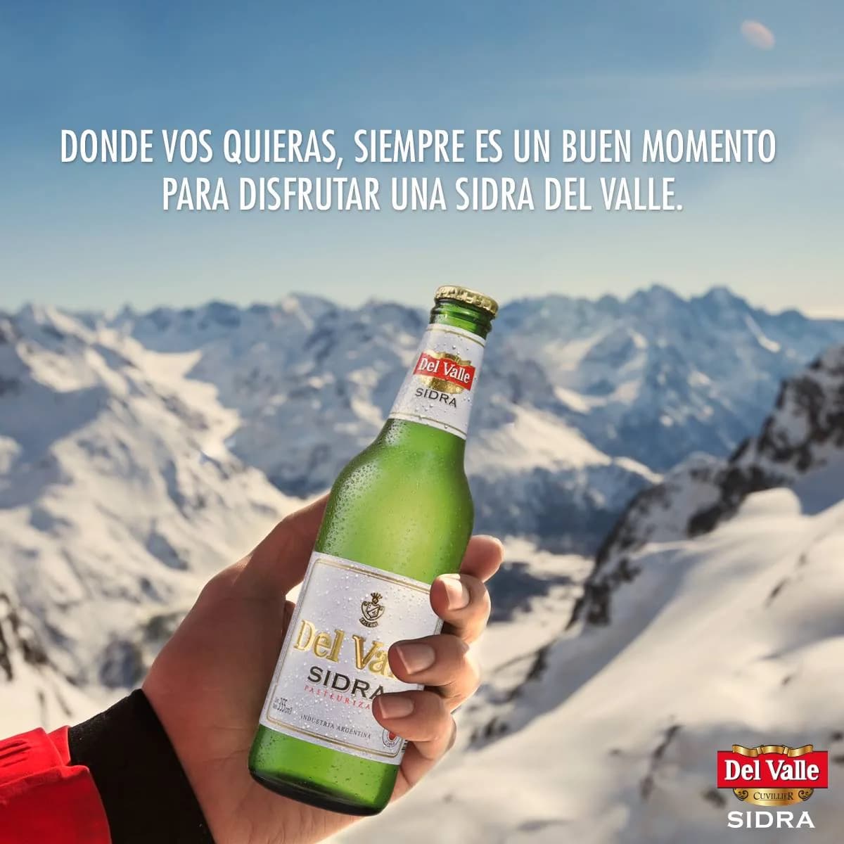Sidra del Valle — Social Media, Graphic Design, Events and Web Design · work by TPI (4)