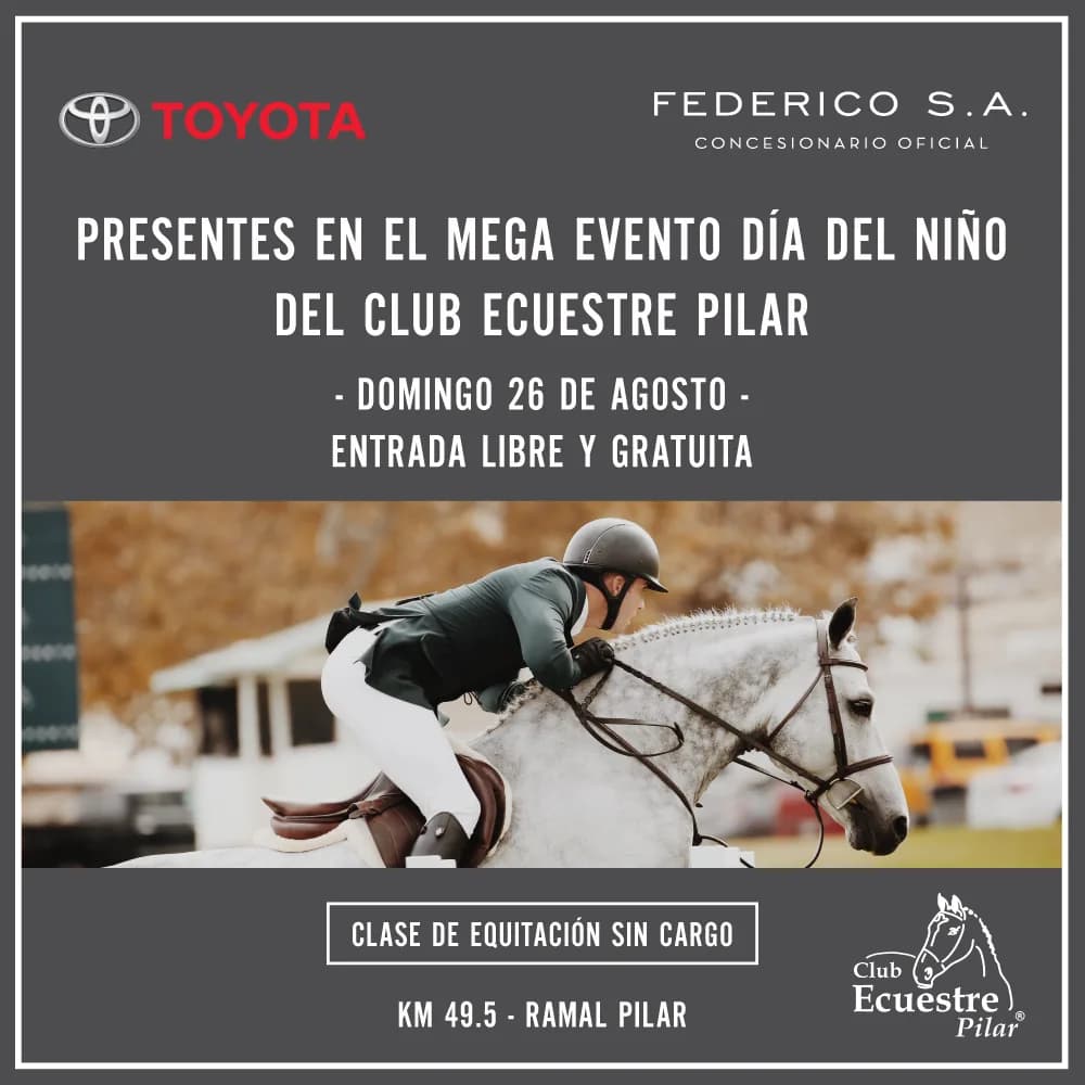 Toyota Federico — Branding, Graphic Design, Digital Marketing, Web Design and Events. · work by TPI (1)